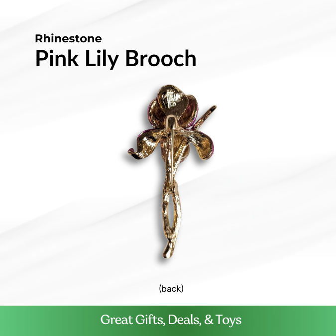 Rainbow Chameleon Brooch