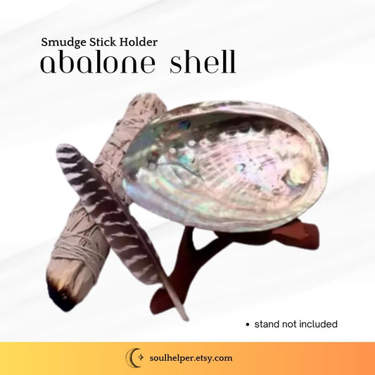 Natural Abalone Shell – Small (2 x 3 inch Smudge Stick Holder)