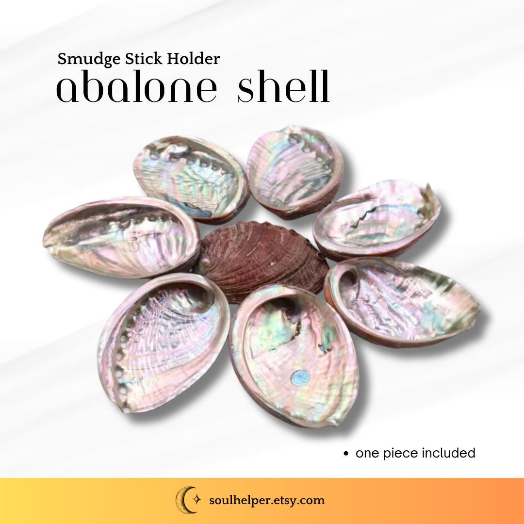 Natural Abalone Shell – Small (2 x 3 inch Smudge Stick Holder)