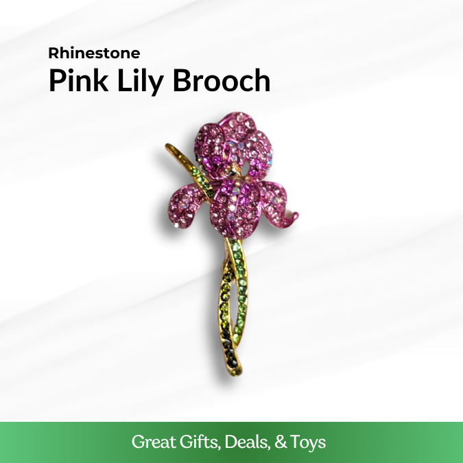 Rainbow Chameleon Brooch