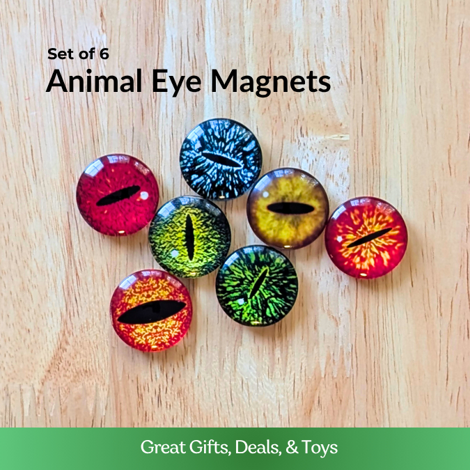 Animal Eye Magnets - Set of 6