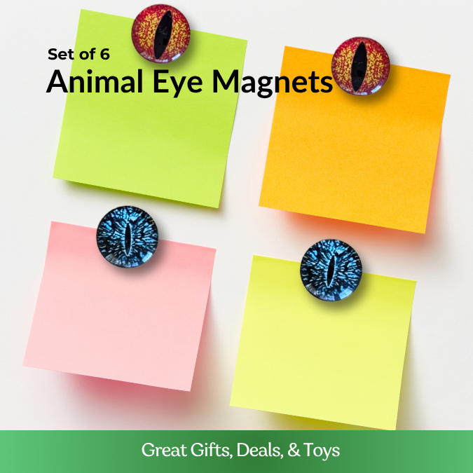 Animal Eye Magnets - Set of 6