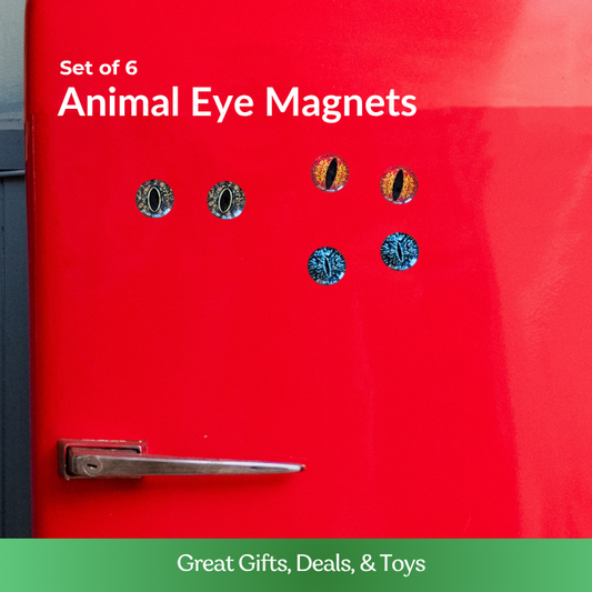 Animal Eye Magnets - Set of 6
