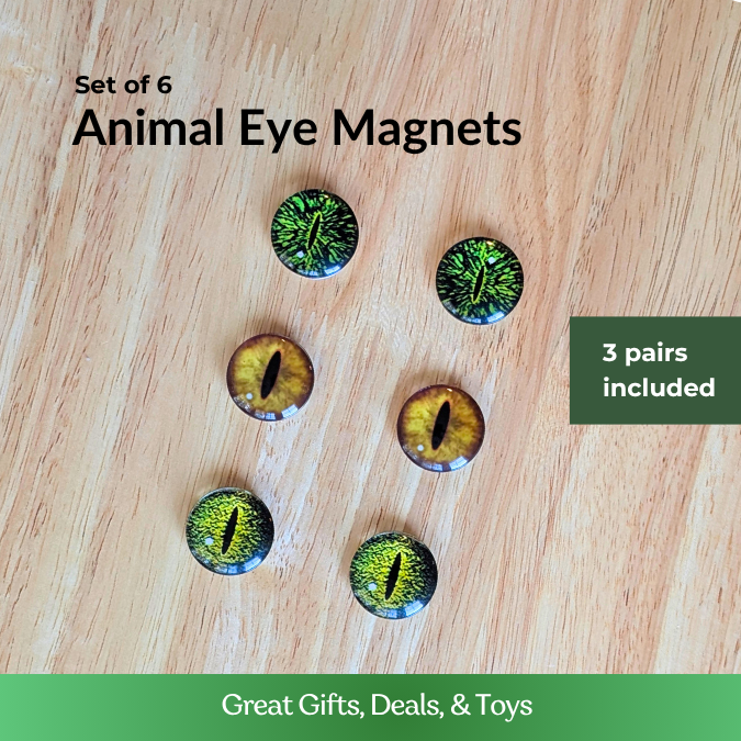 Animal Eye Magnets - Set of 6