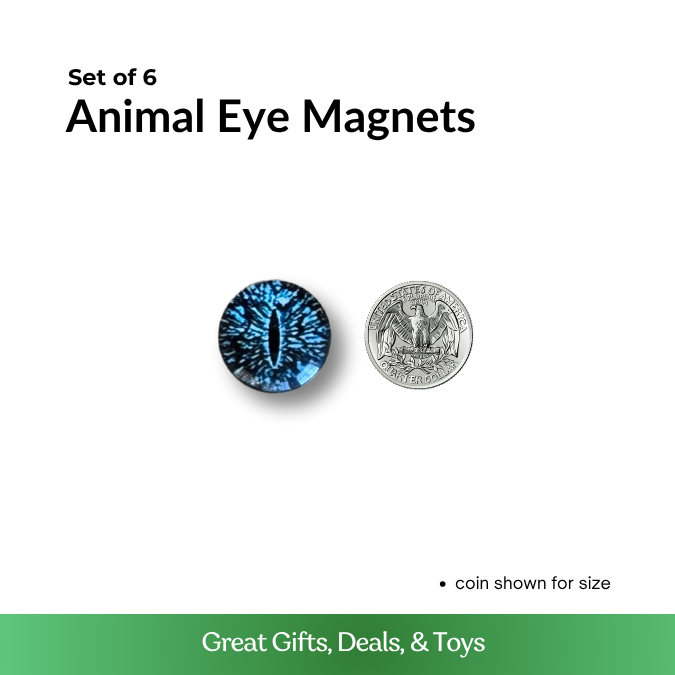 Animal Eye Magnets - Set of 6