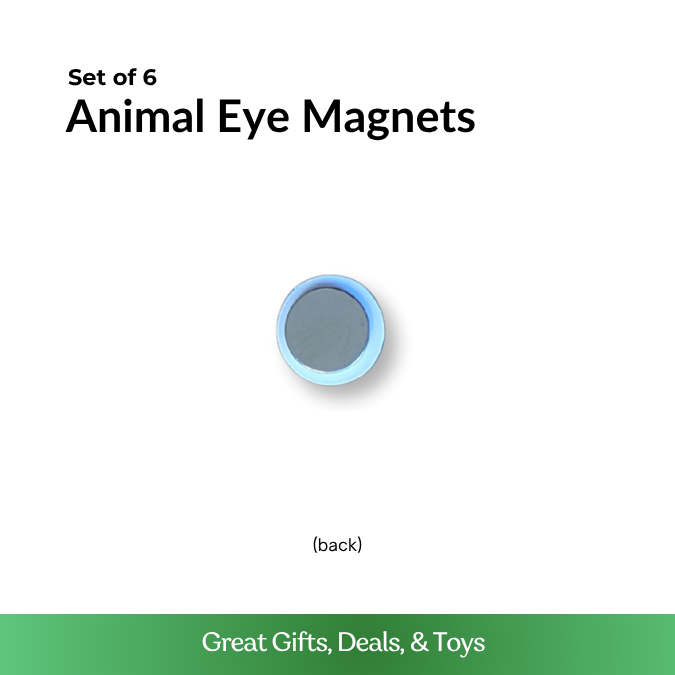 Animal Eye Magnets - Set of 6