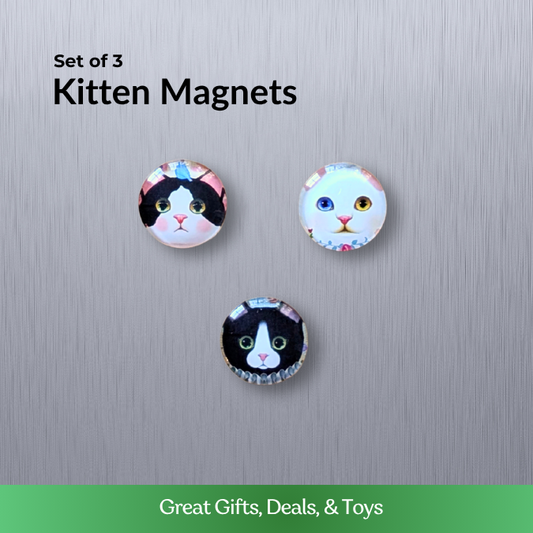 Kitten Magnets - Set of 3
