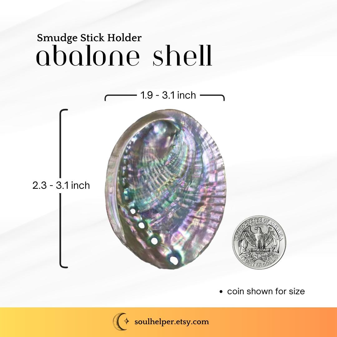 Natural Abalone Shell – Small (2 x 3 inch Smudge Stick Holder)